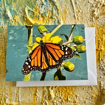Schmetterling, Kunstkarte A7
