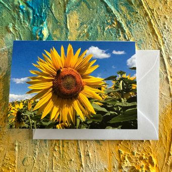 Sonnenblume mit Biene, Kunstkarte A7 