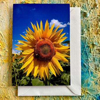 Sonnenblume mit Biene, Kunstkarte A5 
